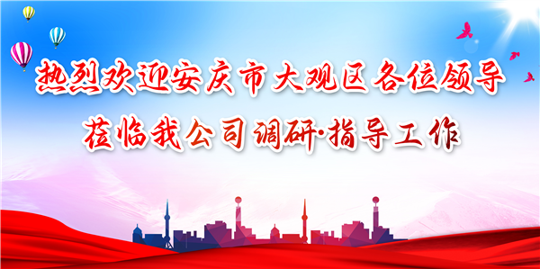 安慶市大觀區(qū)領(lǐng)導(dǎo)蒞臨我公司調(diào)研工作，為發(fā)展注入新動力