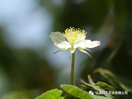 1522736682775596.jpg 640.webp (14).jpg